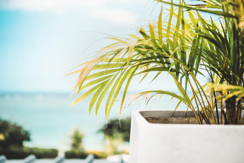 Cap Ouest Luxury Penthouse By Dream Escapes Leilighet Flic-en-Flacq Eksteriør bilde